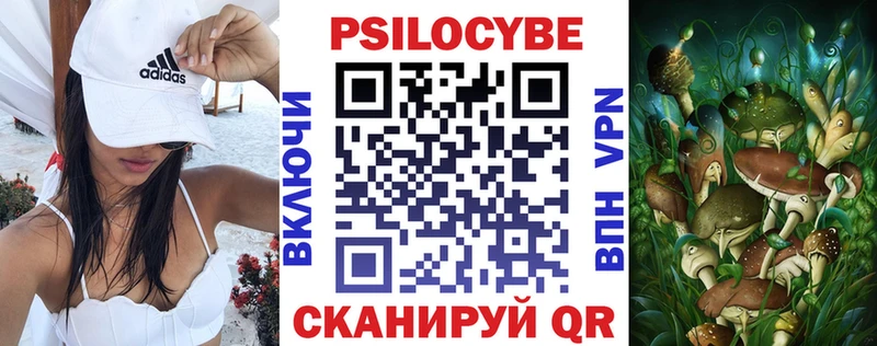 Псилоцибиновые грибы мухоморы  купить наркотики цена  Домодедово 